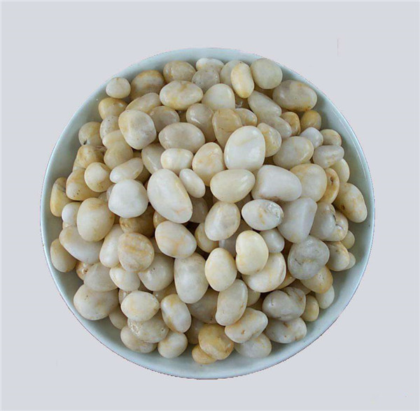 麻豆精品视频在线观看滤料